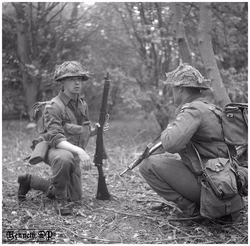Suffolk Regiment